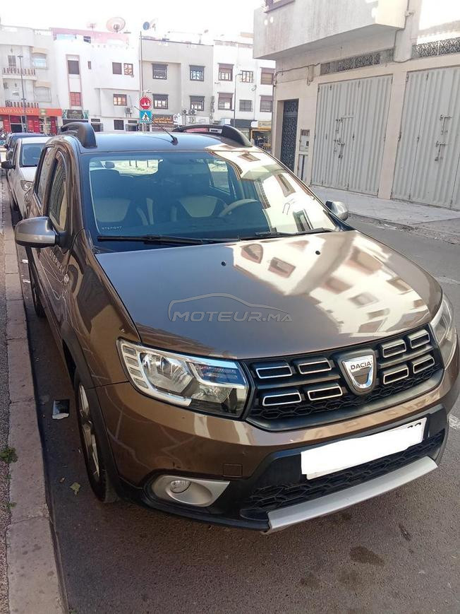 Stepway 1main 1peinture 