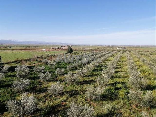 Ferme à vendre titre foncier équipée hectare et 5670 mètres