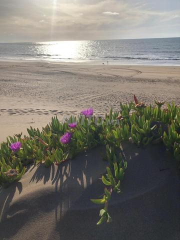 Villa pieds d’eau l’eau - 2