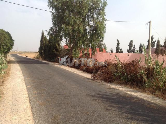 Terrain Ferme chouka 8913m2 Mly Abdellah El Jadida