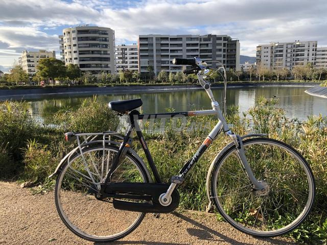 Vélo Gazelle Avignon d'origine