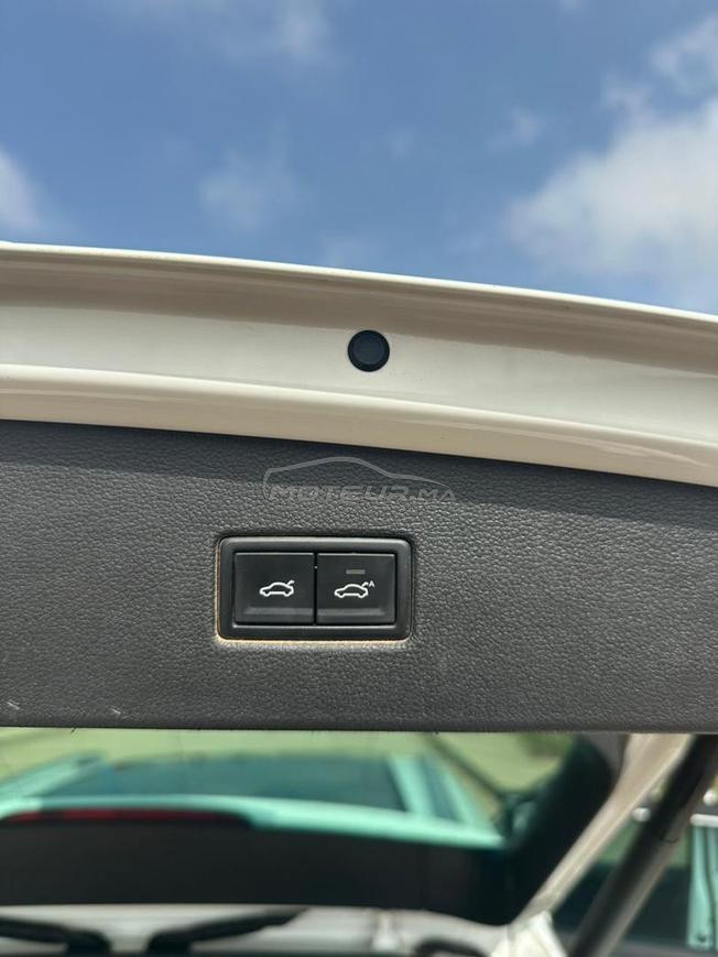 tiguan blanc