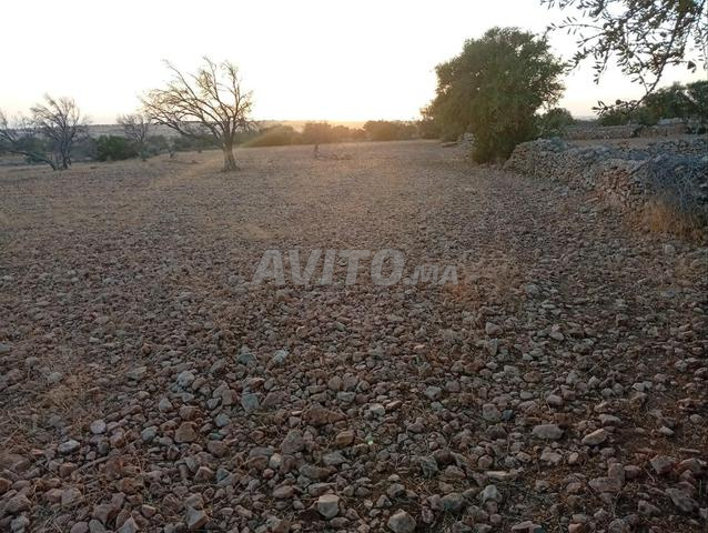 Terrain à vendre constructible pour villa - 2