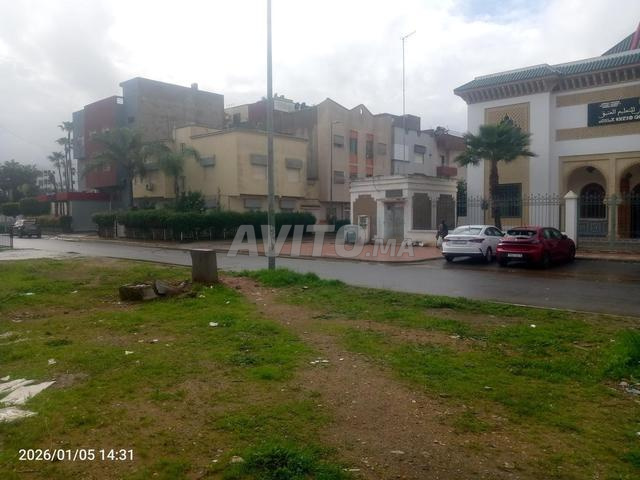 Maghreb Arabe Bloc D