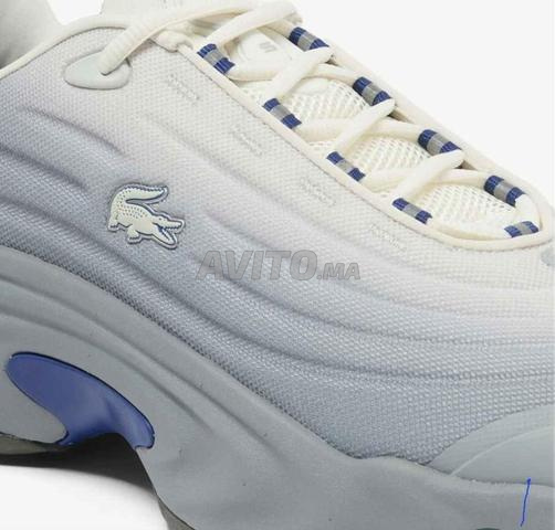 Lacoste originale 41