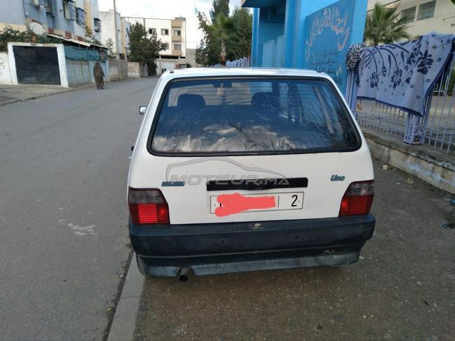 fiat  uno