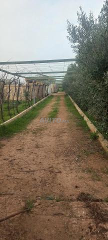 Une ferme specifique