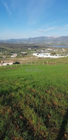 Terrain à vendre Tétouan