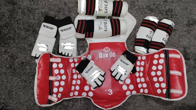 Taekwondo protège