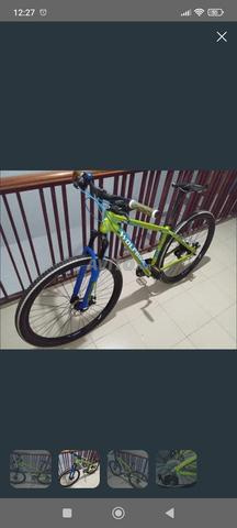 Vélo wolfbike stripe 29 propre