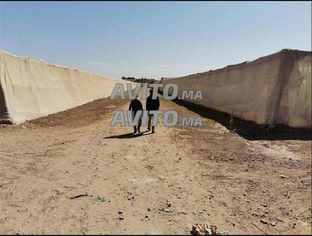 Vendre à Temsia terrain agricole 7 hectares titré