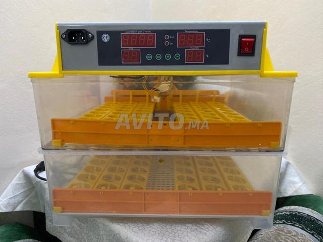 Couveuse automatique 96 œufs