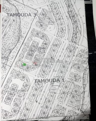 TERRAIN A VENDRE TAMOUDA 1