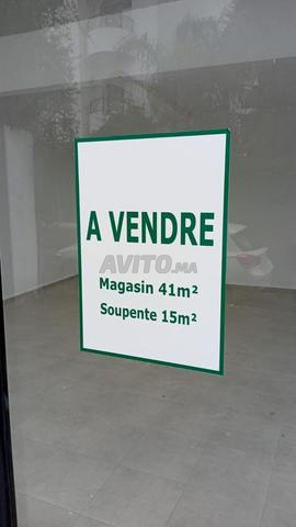 Petit Local commercial Palmier