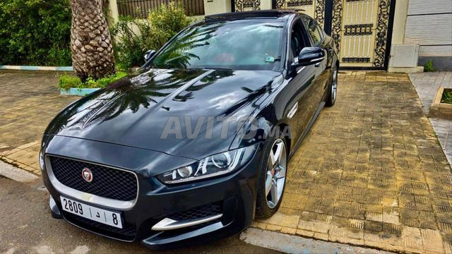جاكوار جديدة مع إمكانية الاستبدال
