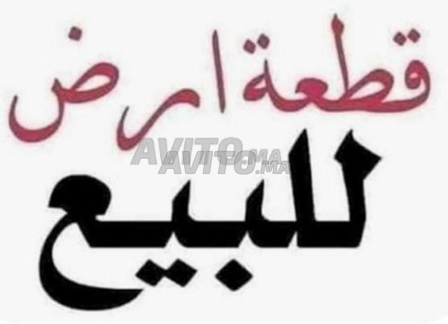 إعلان عن أرض فلاحية للبيع – منطقة أيت عياش، ميدلت