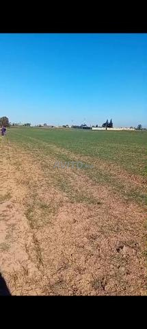 Terrain agricole à vendre