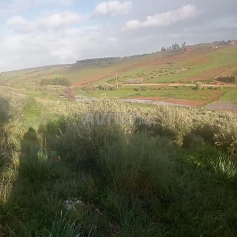 جماعة سيدي عبد الرزاق تيفلت - 2