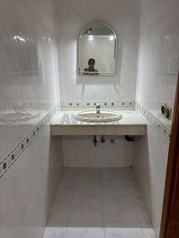 Le lion insaf insaf - image 5