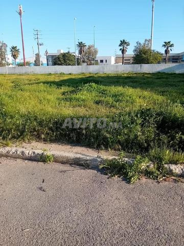 أرض بخطة مرخصة - 2