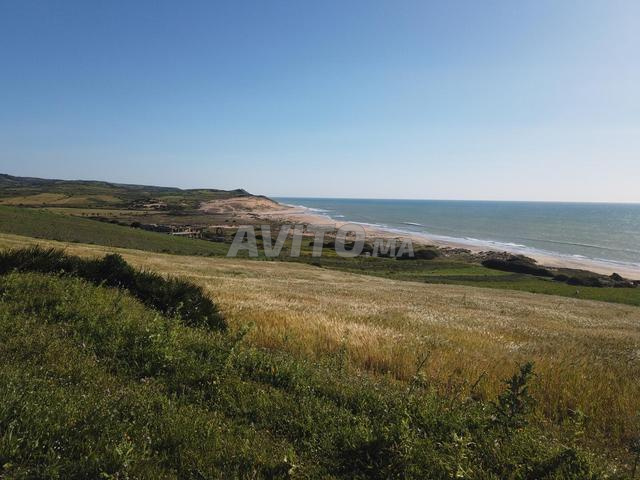 Terrains titrés vue sur mer à Sidi Mghait - 2