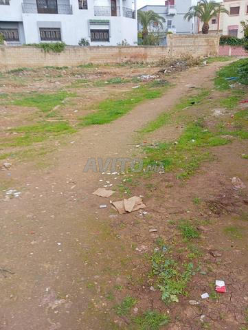 Terrain à vendre Meknès Hamrya