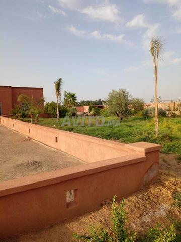 Vente Villa de 10800 m2 à Marrakech