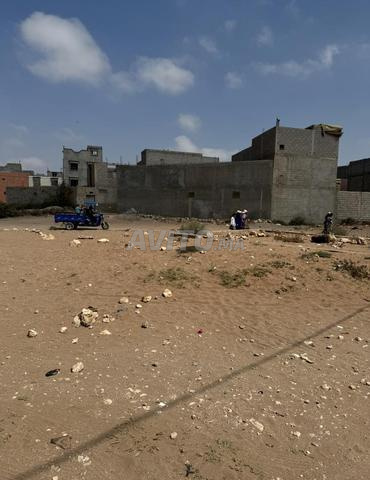 Terrain à vendre dans les environs d'Agadir (Sidi Bibi) 75 mètres