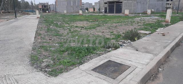 Terrain commercial à Chrifia - 2