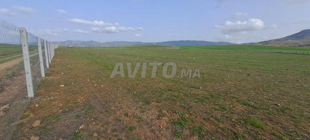 Terrain agricole titré près de la ville de Mrirt