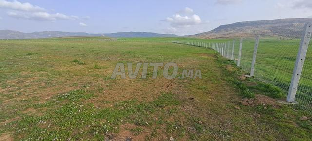 أرض فلاحية محفظة قرب مدينة مريرت - 2