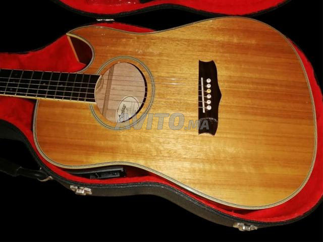Guitare electro-acoustique Vantage avec Case