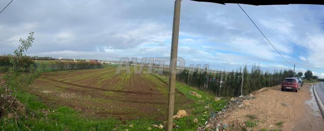 للبيع أرض فلاحية 10000 متر مربع طريق الأميرة