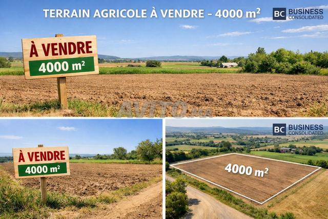 أرض فلاحية للبيع على الطريق 4000م