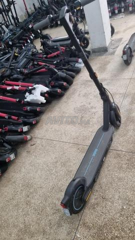 🚨 Vente en gros – Trottinettes électriques 🚨