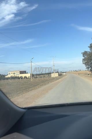 أرض فلاحية للبيع 2 هكتار ونصف محفظة - 2