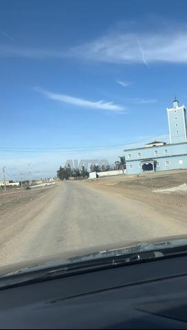 أرض فلاحية للبيع 2 هكتار ونصف محفظة