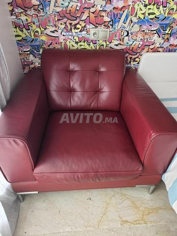 ثنائي كنبات جلد أحمر