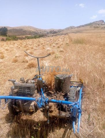 OLIMPIA en bon état