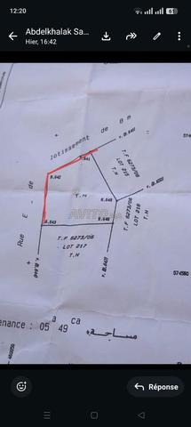 Terrain villa vente Moujahidine