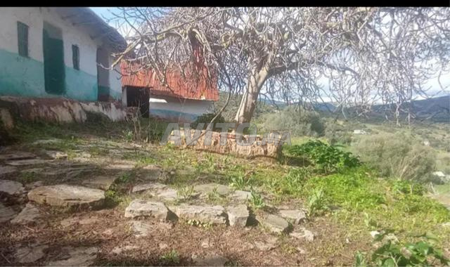 فرصة عقارية - 2