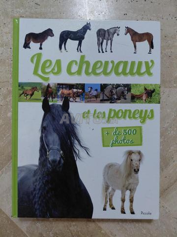 L’encyclopédie Les chevaux et les poneys