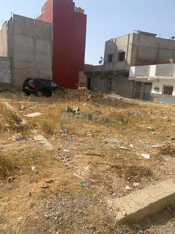 أرض 60 متر بالرخصة البناء - 2