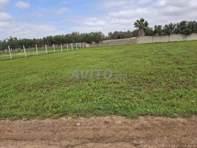 أرض 1000 متر بأم عزة 26 كيلومتر للرباط