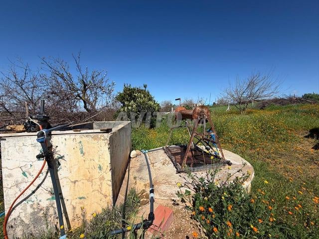 أرض فلاحية للبيع قرب مكناس – 1 هكتار و 1100 م²