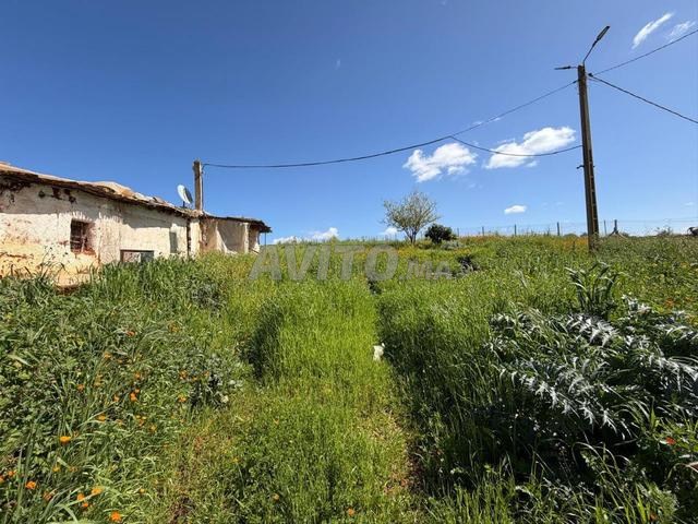 Terrain agricole à vendre près de Meknès – 1 hectare et 1100 m² - 2