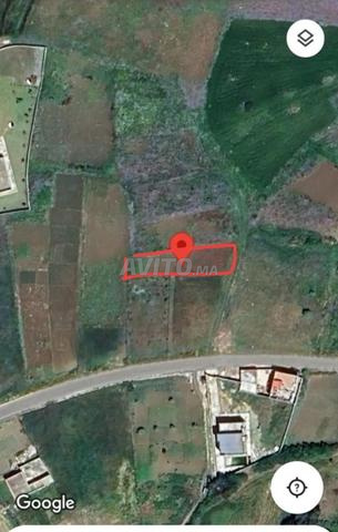 Sidi Kankouche Talee Cherif