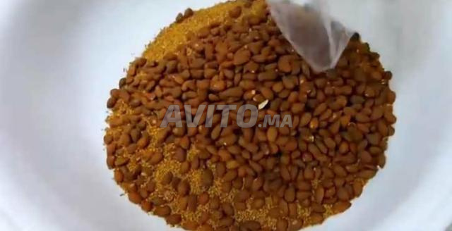 سلو تقاوت سفوف باللوز و جميع القوام - 2