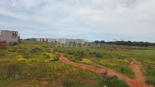 Ter 6ha titre R4 sala el jadida - 2