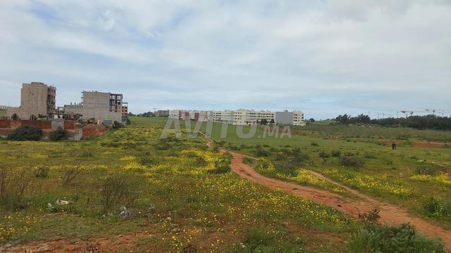 Ter 6ha titre R4 sala el jadida